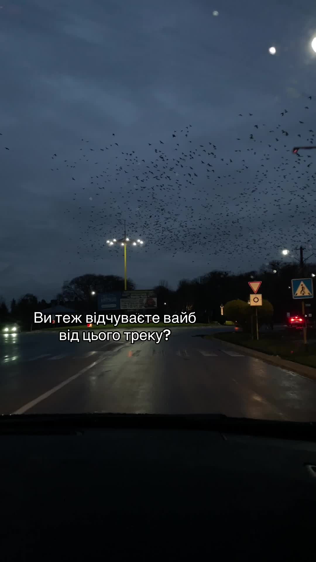 @remi.m🌪️music/vibe🇺🇦