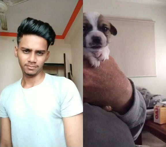 @Aman Jaiswal