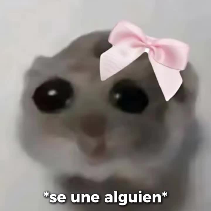 @🦢