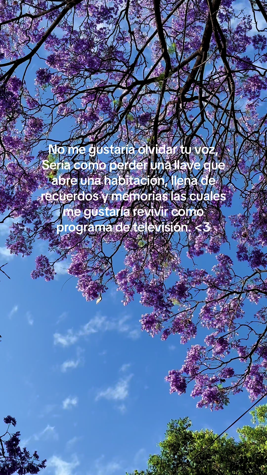 @Kyev_Tadeo