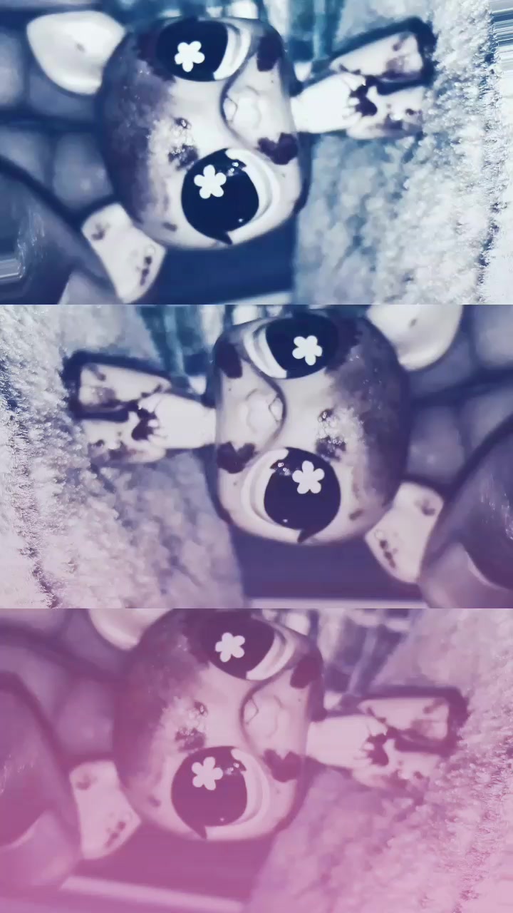 @NeverAloneLps
