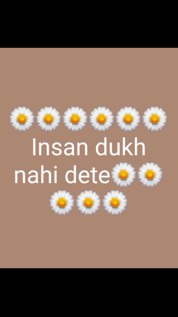 @heena shaikh