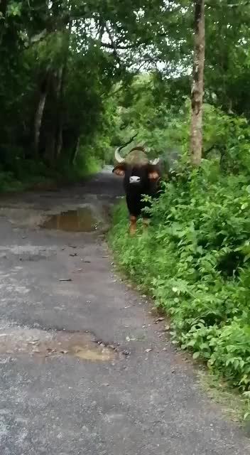 @Jee393