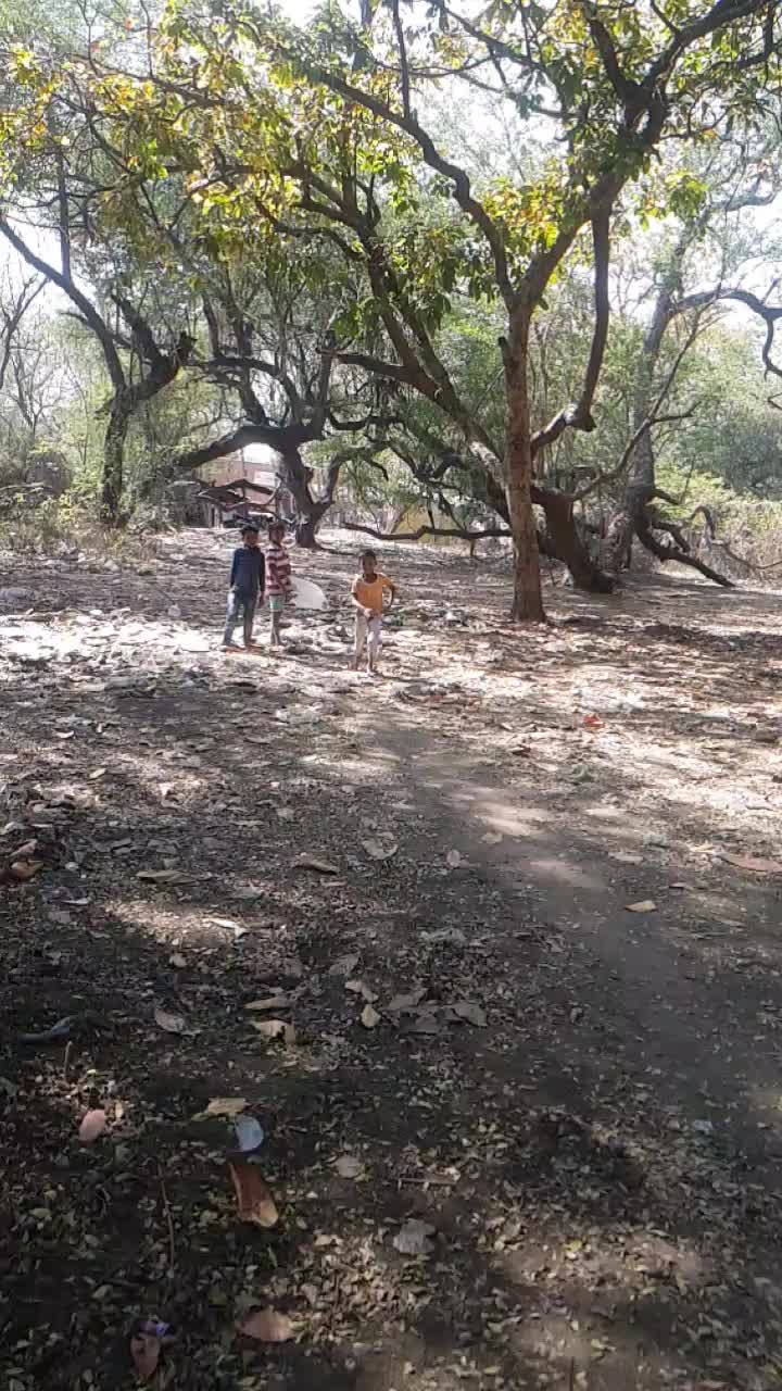 @Ummehani Saba