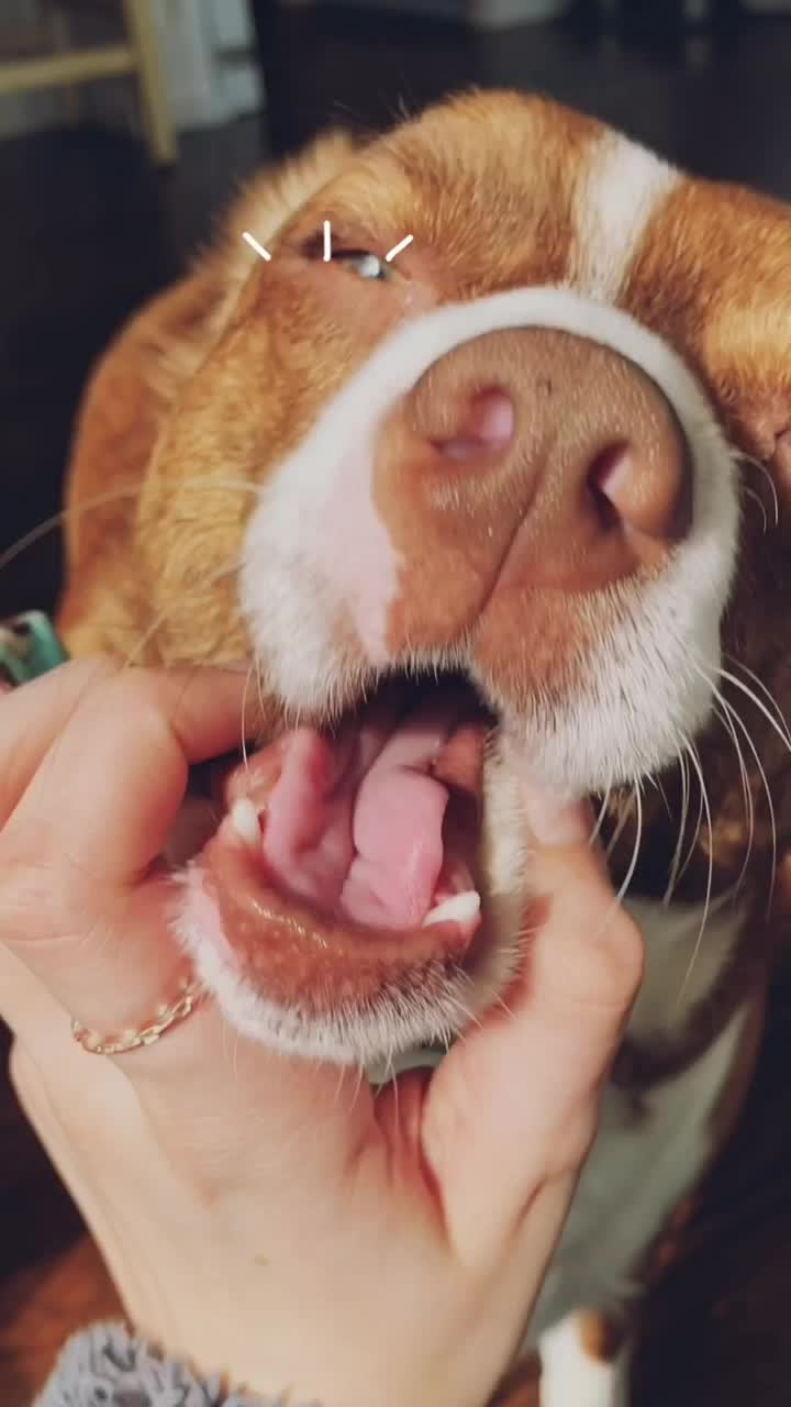@๐ผ๐๐๐
๐พ๐๐๐น