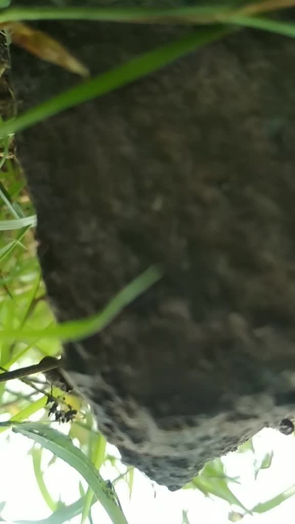 @Ajju jadhav