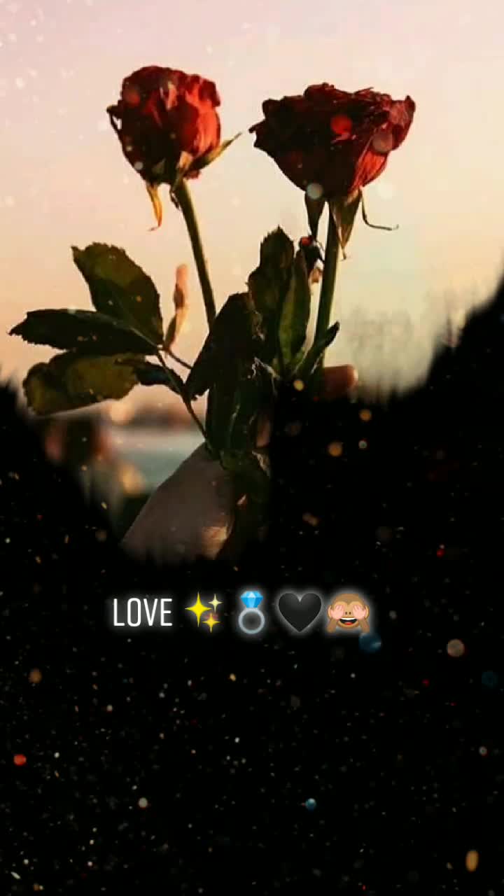 @@heenu_.1๐๐ค