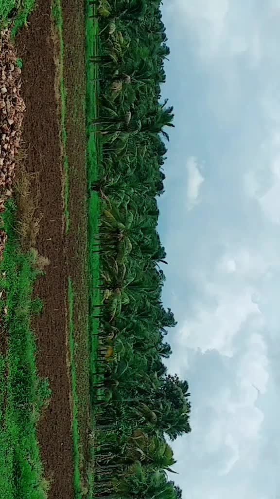 @முருகன் 😃😍😘