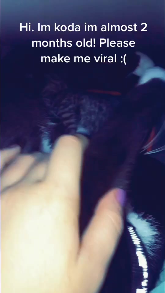 @ImReallyANobody