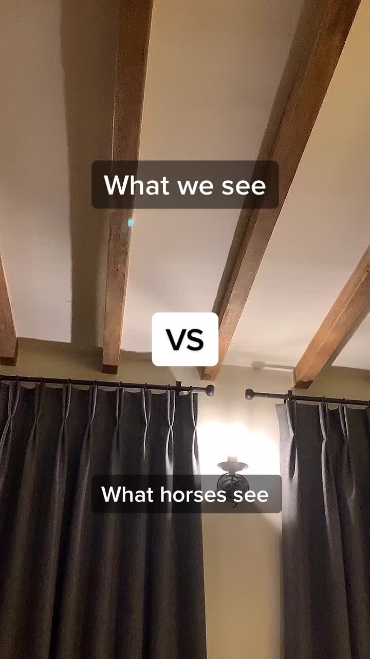 @ypequestrian