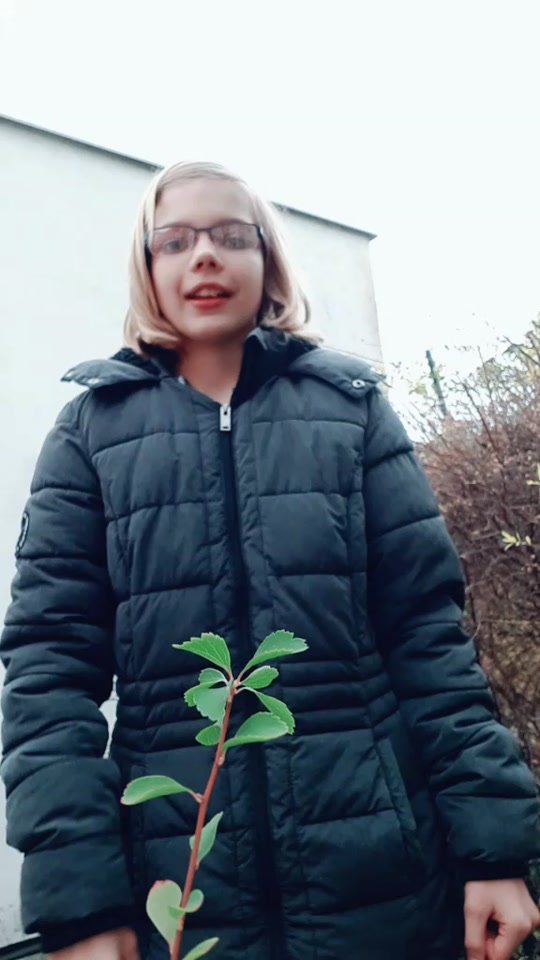 @Koňařka_Katy
