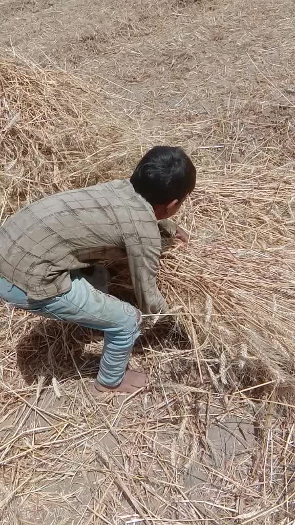 @Zala Bhalubha625