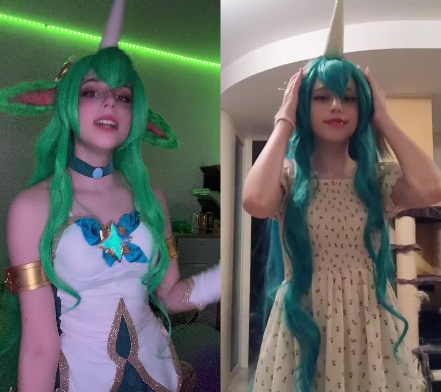 @KindShiba💕