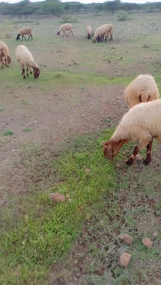 @KAMLESH RABARI