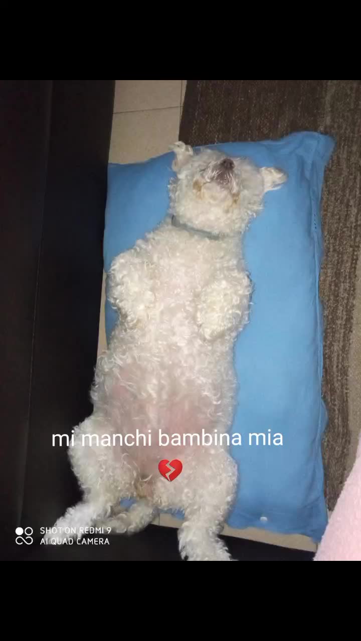 @Annalisa Magro