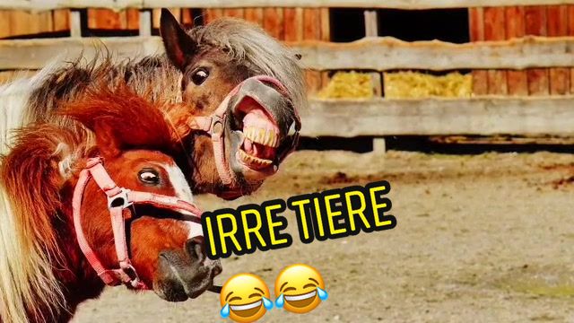 @Florian86c