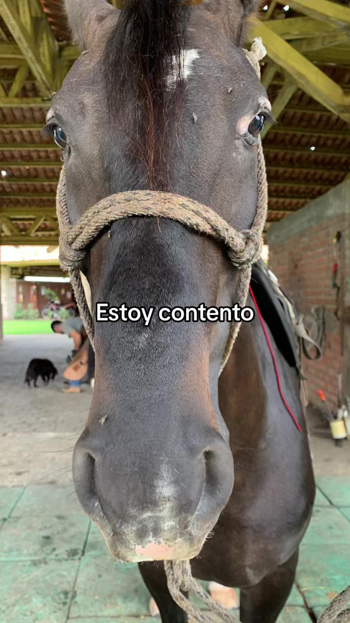 @10_cr