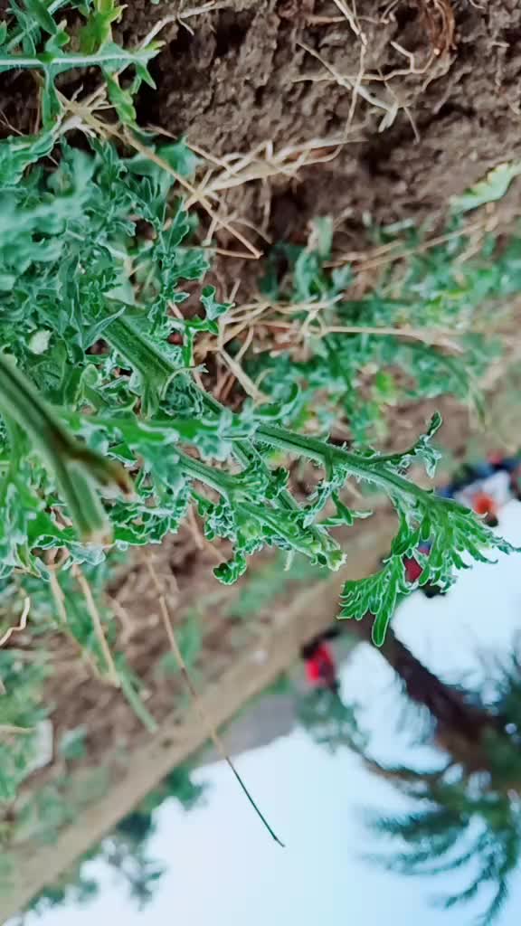 @Ram.Shivdekar.