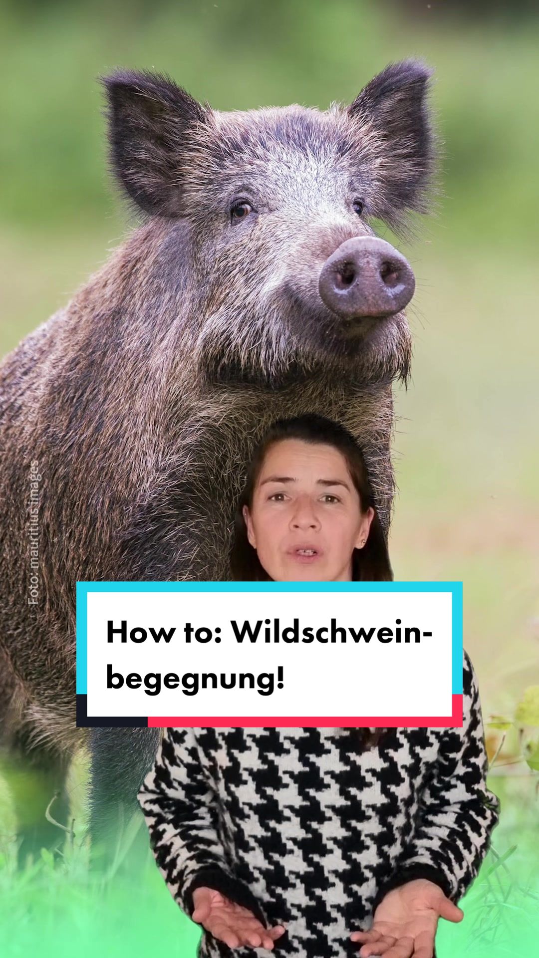 @Tiere suchen ein Zuhause