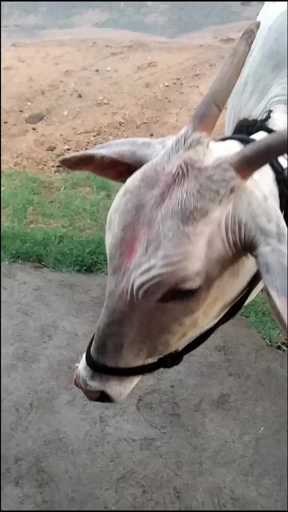 @Sachin Yadav Druva