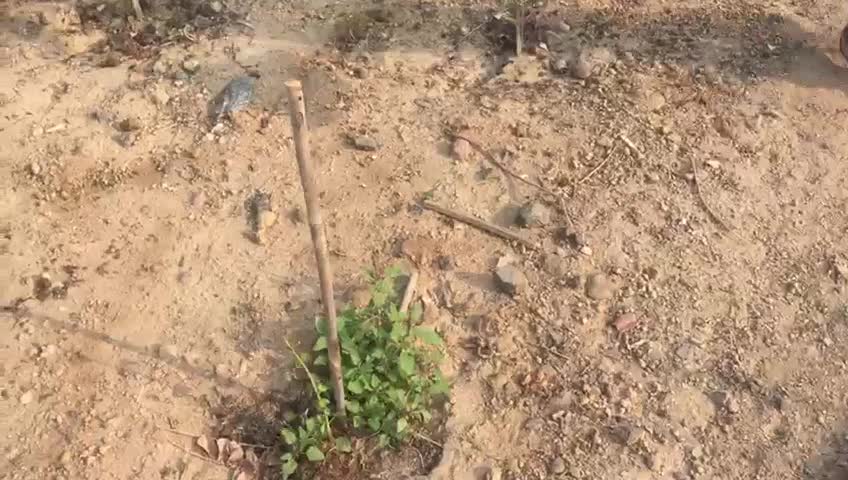 @sevaganboopathi