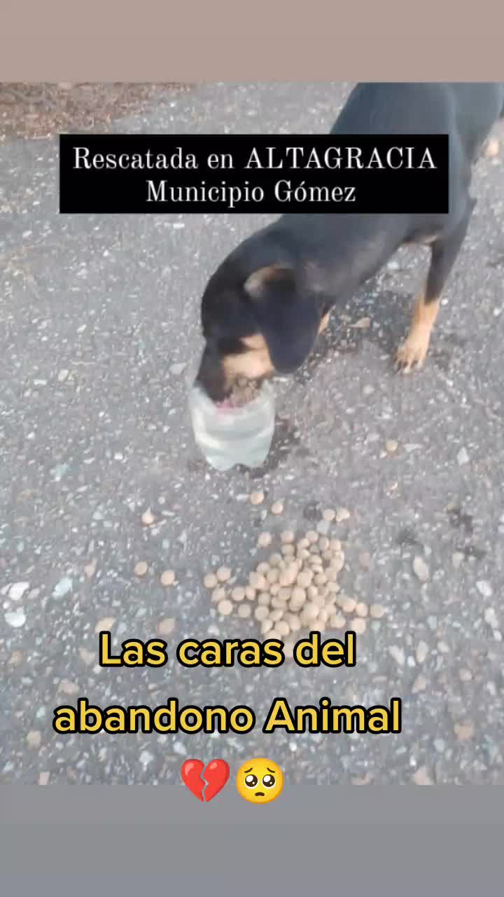 @Alejandra Beroes🐾