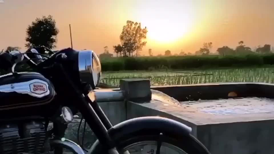 @Radhe Saab👑