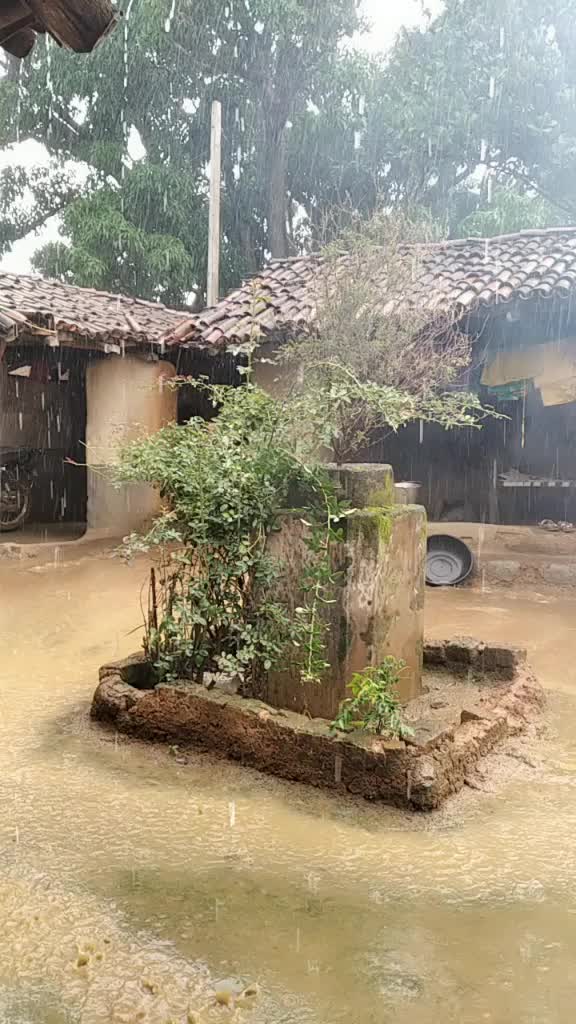 @user6272172178207