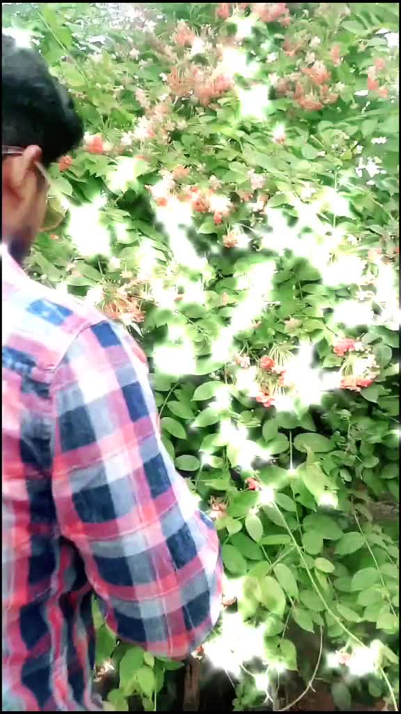 @Sumit Malviya