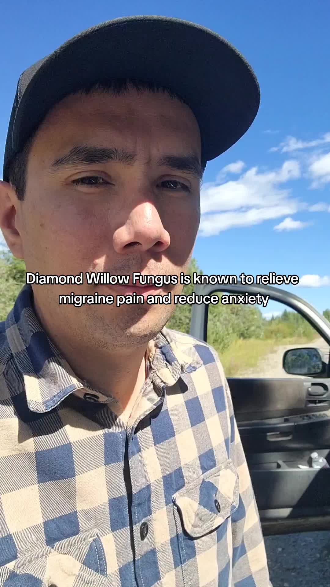 @pvforagers