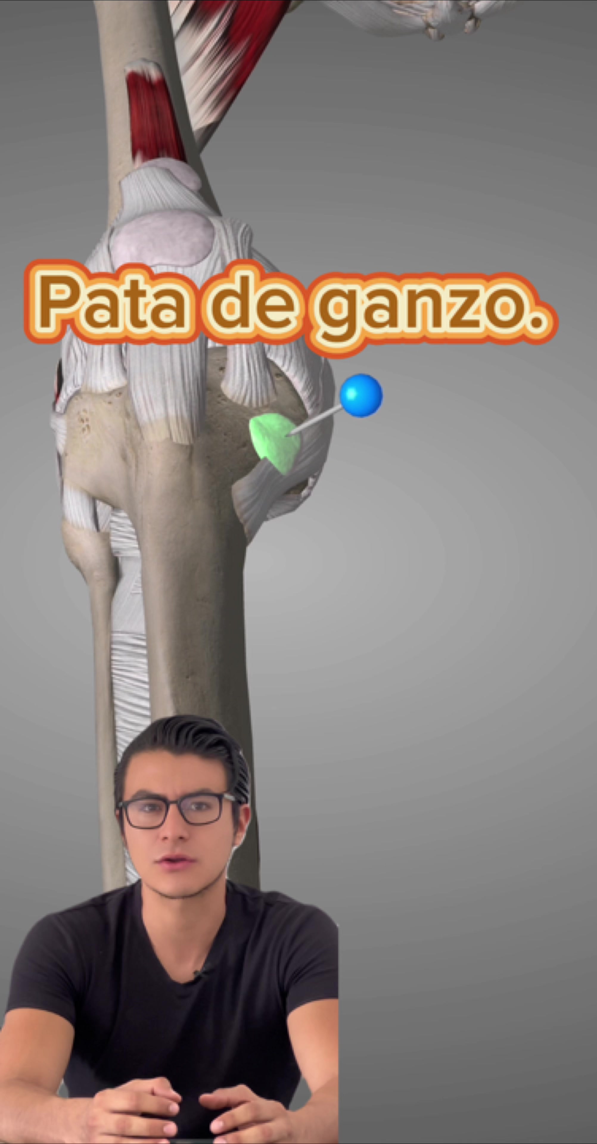 @Gerardo Montiel