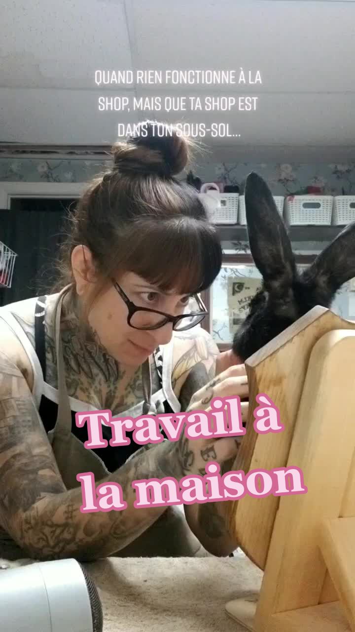 @May la taxidermiste 🇨🇦