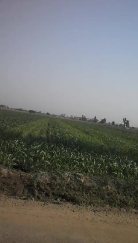 @Tera Guri