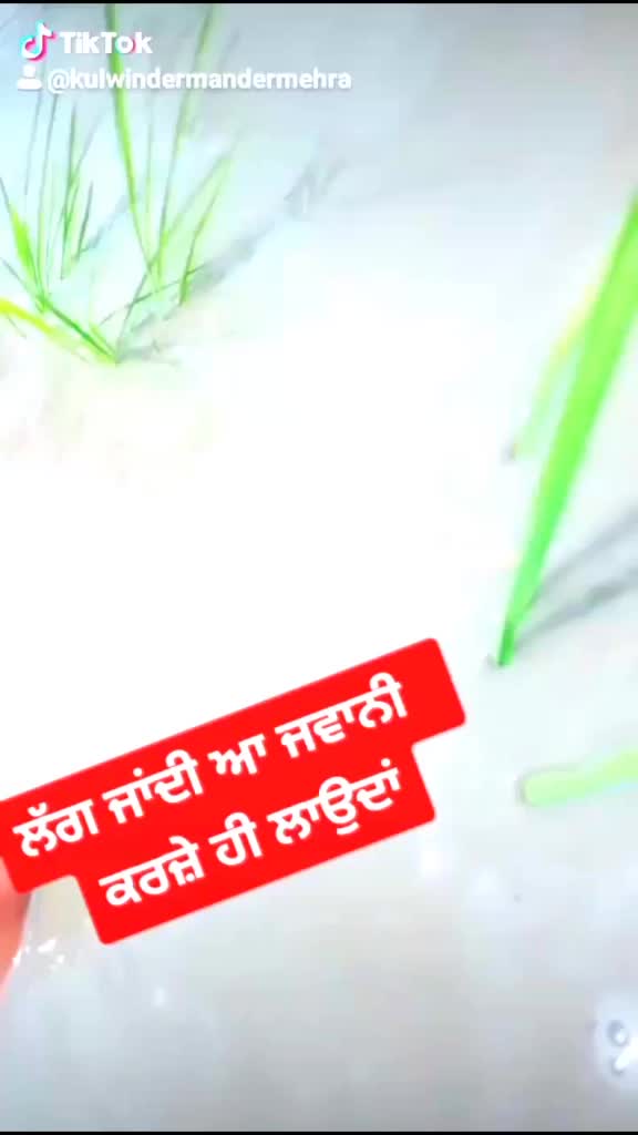 @Kulwinder__Mehra