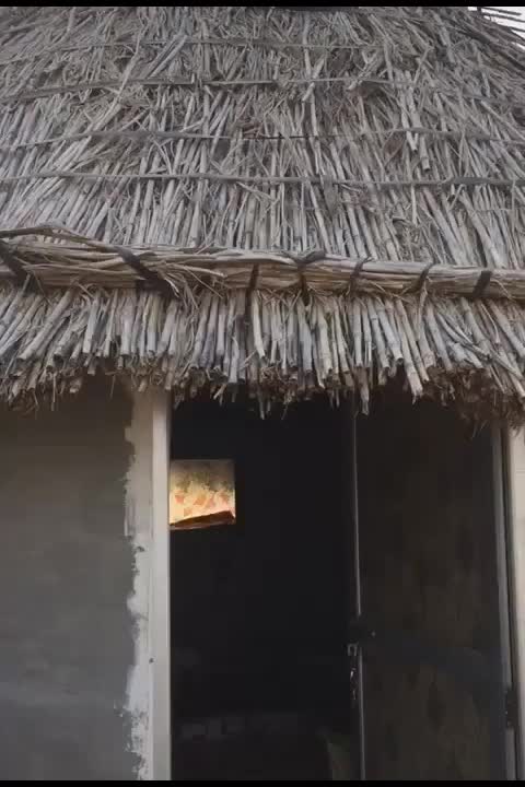 @P&mdash;A&mdash;N&mdash;D&mdash;A&mdash;T