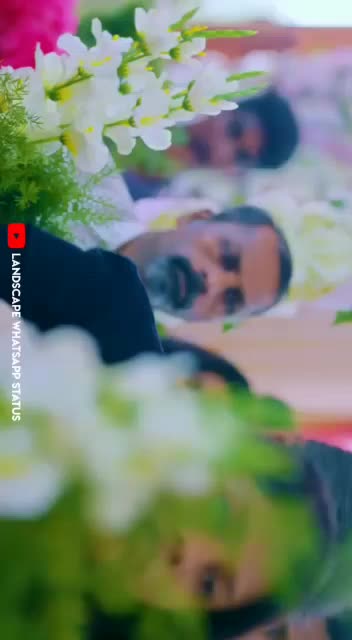 @Thala Veera