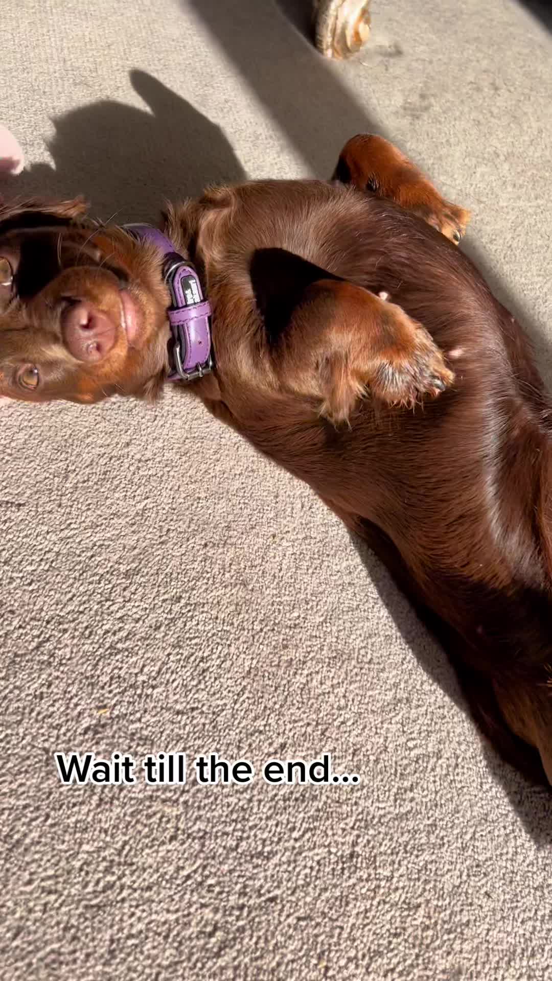 @billieandblu