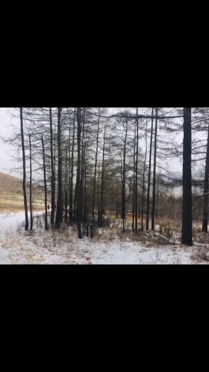 @Ари❤️