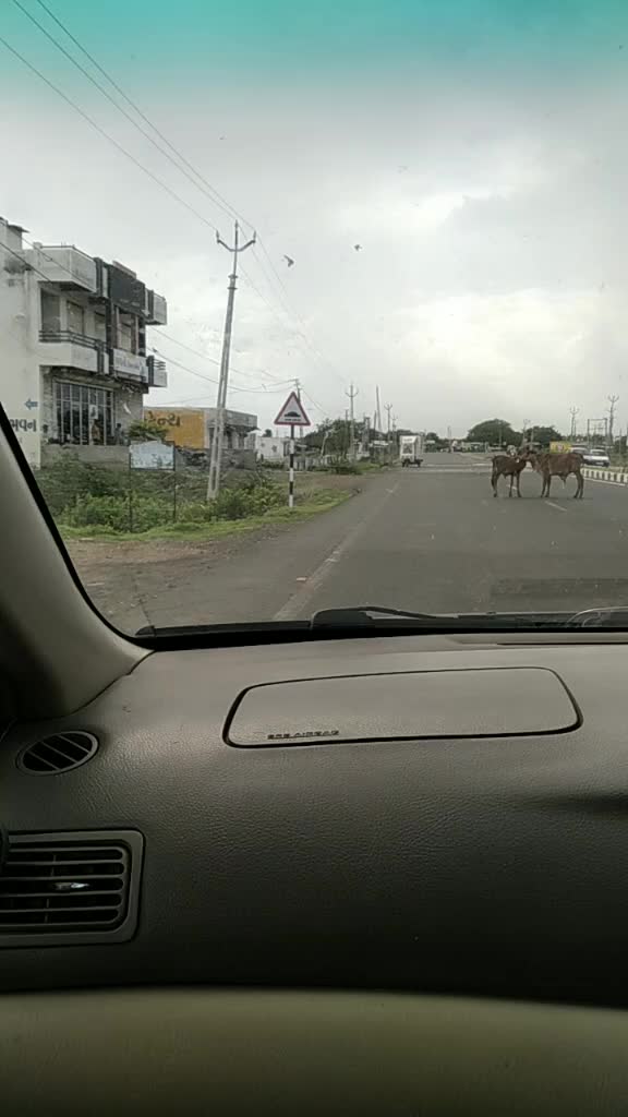 @નટખટ કાન