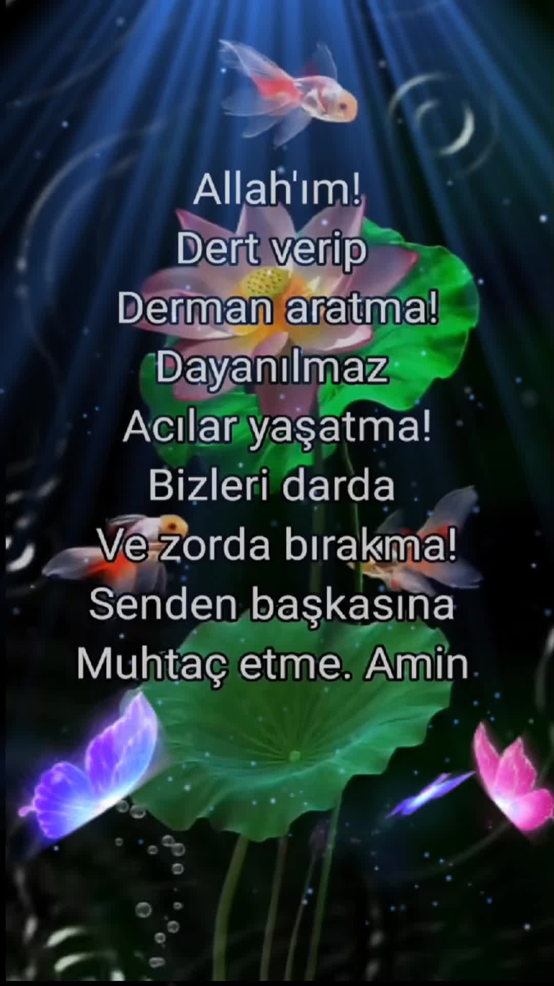 @Yavuz Çağlayan