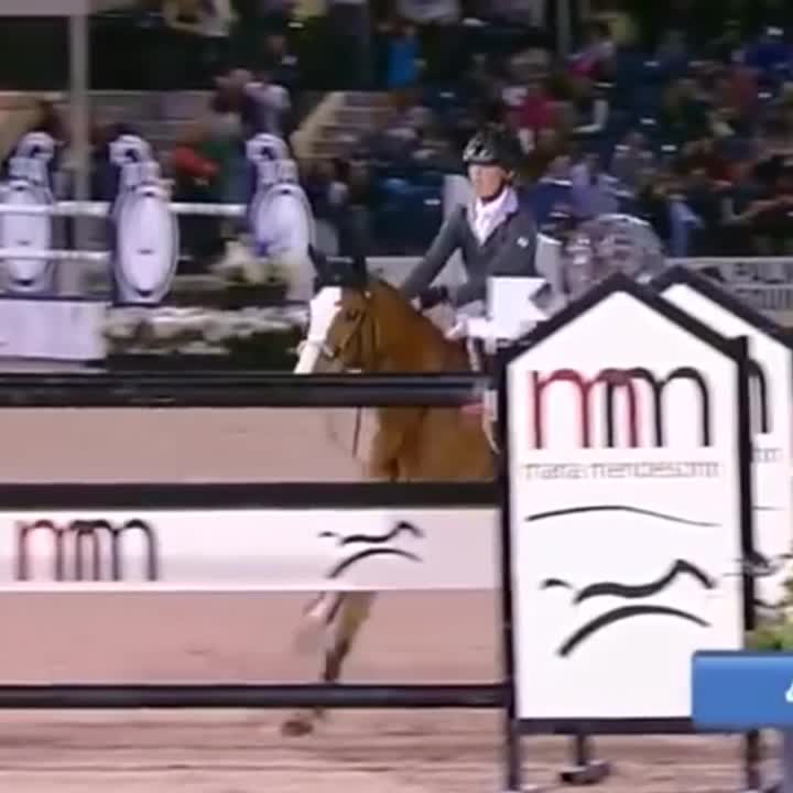 @🏇🏻 нorѕe rιdιng 🏇🏻