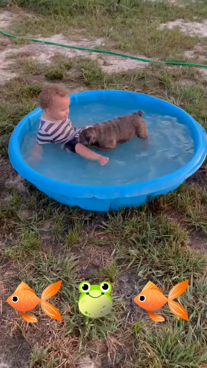@Wickeddoghandler