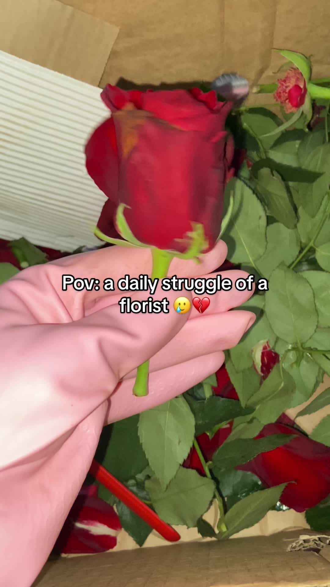 @flowers paradise