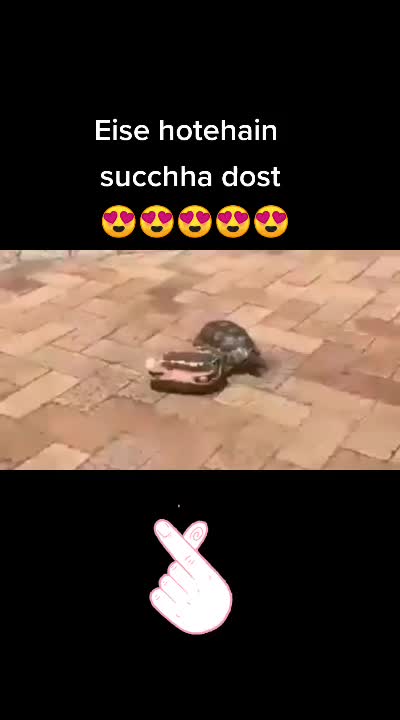 @Swastika_patra