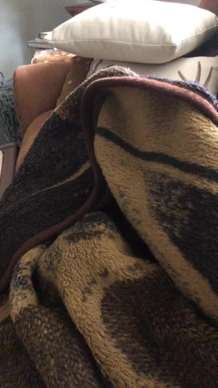 @brandy.elrod1