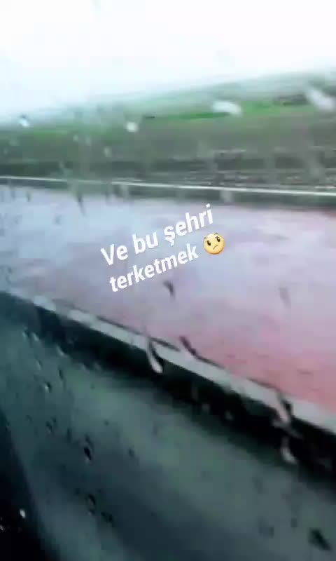 @ceylanece