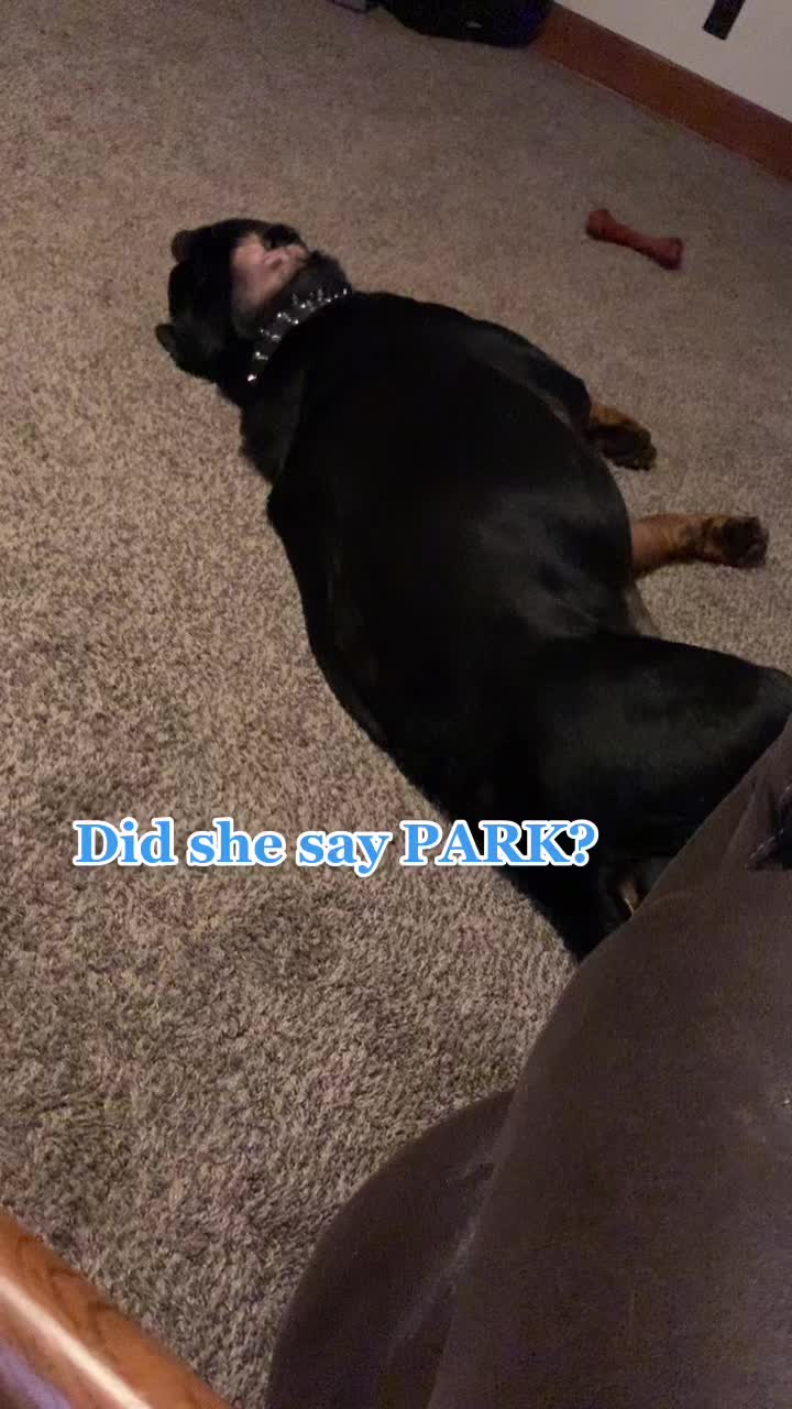 @Blankita