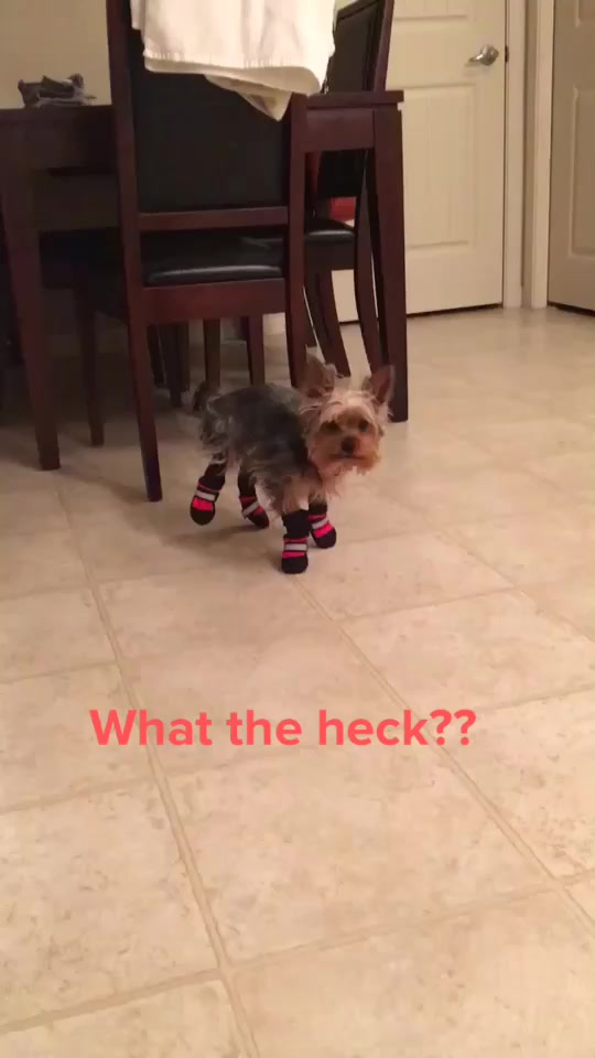 @Angela Caissie