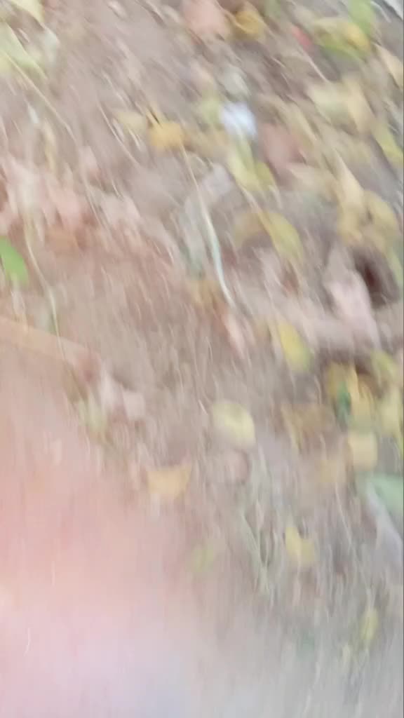 @Raja Raja
