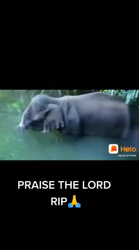@Minnarao Ravada